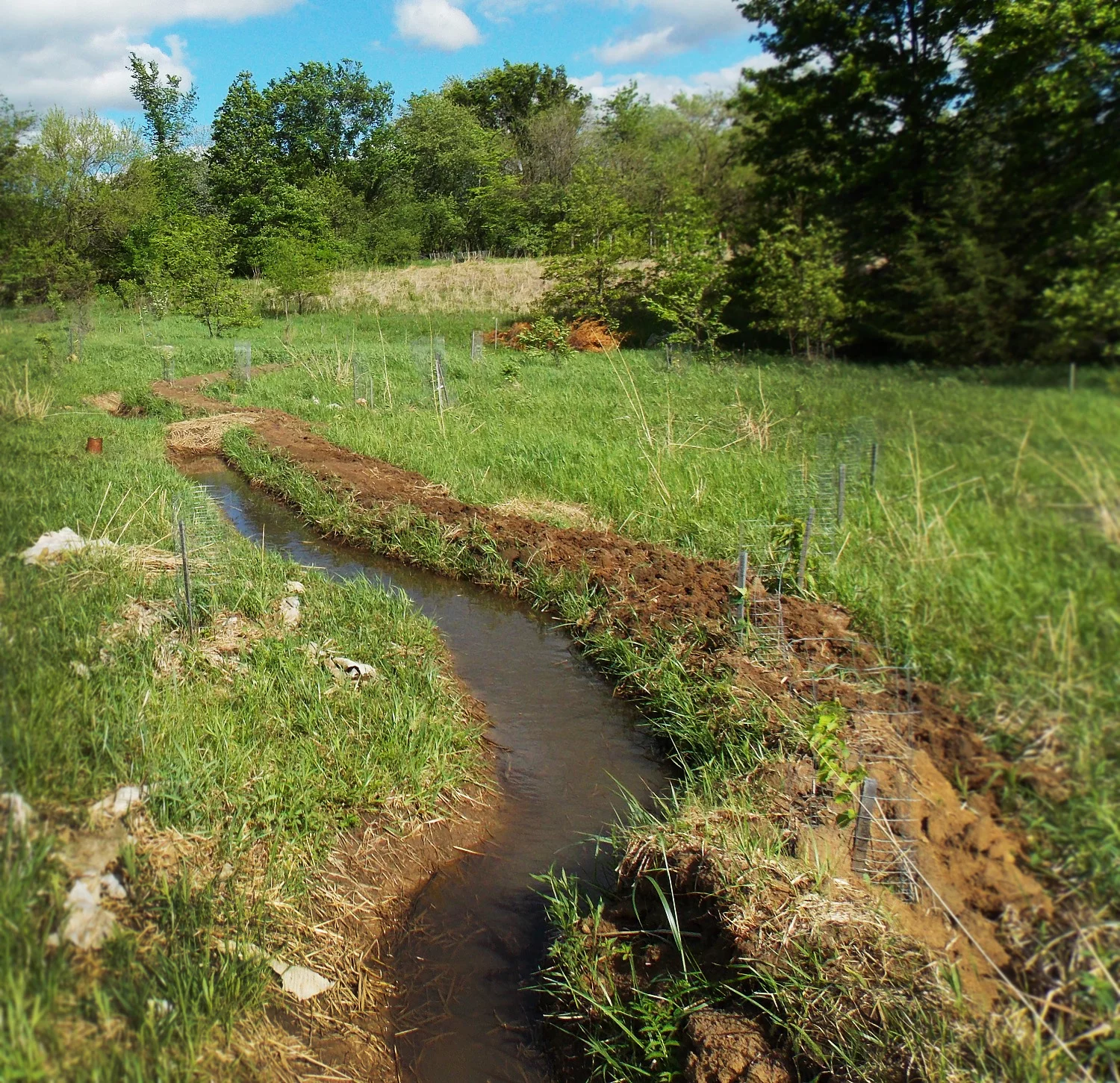 On-Contour Swale photo